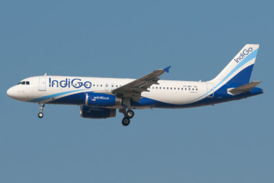 IndiGo A320 VT-IEF DXB 120214