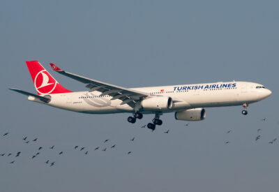 TurkishAirlines A333 TC-JNJ IST 031012
